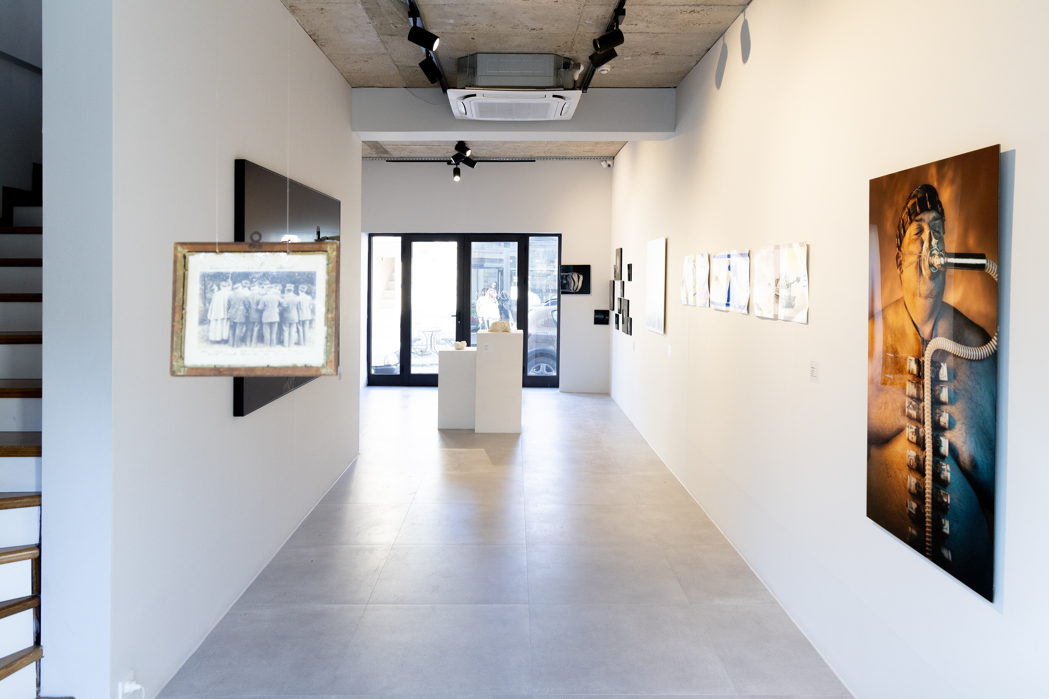 Tohum Sanat Alanı
